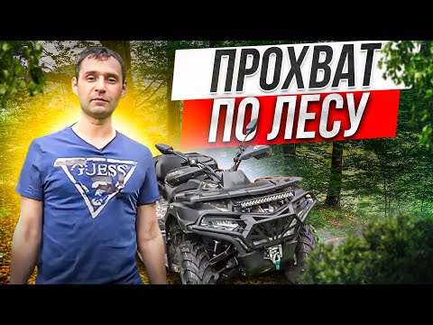 Видео: CFMOTO CFORCE 600 EPS. В поисках грязи в лесу.