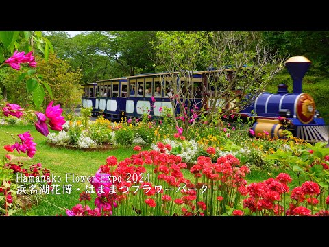 Видео: 【Hamanako Flower Expo 2024】Прекрасная экскурсия по саду! Парк цветов Хамамацу!