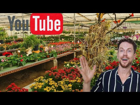 Видео: Большой обзор растений в садовом центре на о.Гран Канария. #цветы #растения #обзорцветов