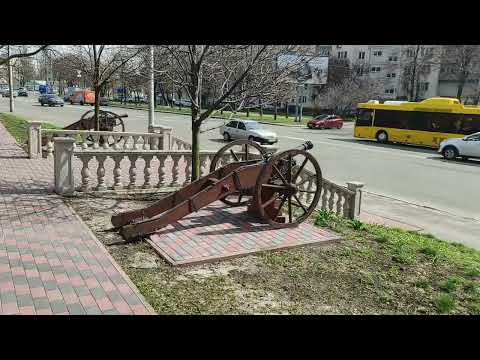 Видео: Прогулка в лесу Виноградарь Киев.