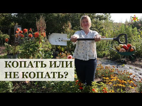 Видео: КОПАТЬ ИЛИ НЕ КОПАТЬ огород осенью?