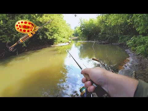 Видео: Вертушка ловит всех на микро-речке! Жерех на ультралайт! Рыбалка в июне!