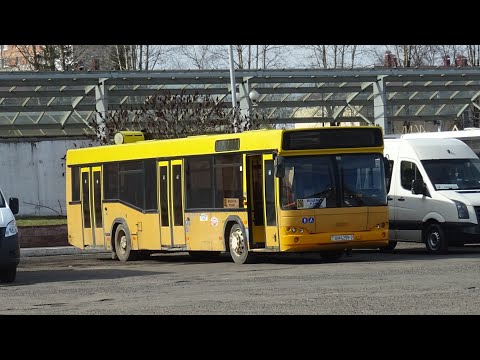 Видео: Автобус №260. АВ Витебск - Речки (заезд в Клевцы)