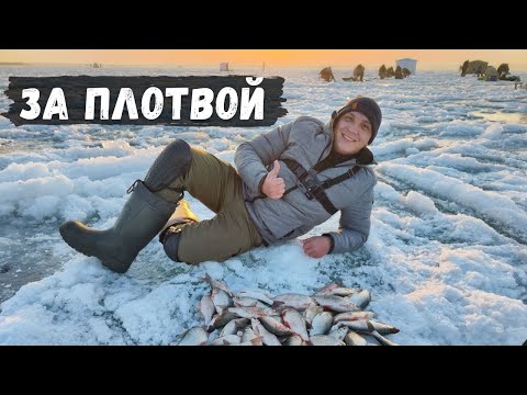 Видео: БЕШЕННЫЙ КЛЕВ ПЛОТВЫ "ВОБЛА" | КАПЧАГАЙ | ГОЛУБОЙ ЗАЛИВ