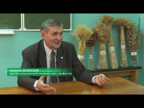 Видео: Продолжение интервью Николая Зеленского о бинарных посевах и о том, как получить хороший урожай