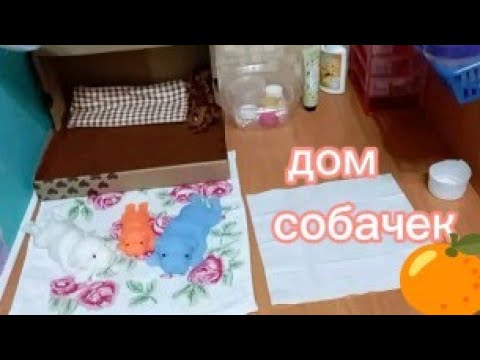 Видео: дом сквиши собак