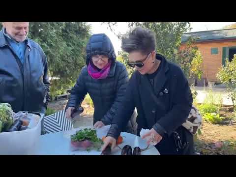 Видео: КАКОЙ ТАКОЙ ГРИЛЬ БОКС?