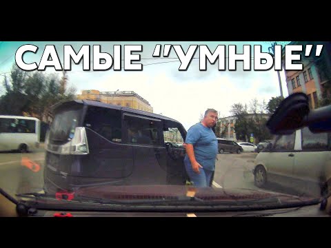 Видео: Подборка САМЫХ "УМНЫХ" водителей #1033