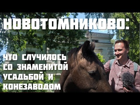 Видео: Новотомниково: что случилось со знаменитой усадьбой и конезаводом