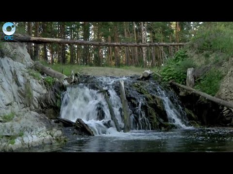 Видео: Телепроект "Пешком по Новосибирской области": 29 ноября 2015 (Ордынский район)