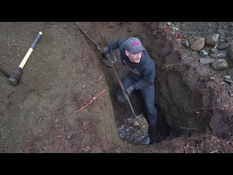 Видео: За выходные найден золотой депозит на сумму 1 000 000 долларов