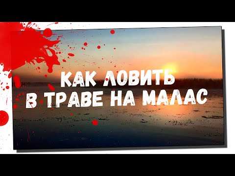 Видео: Как ловить в траве на Малас! Исследование нового жабовника