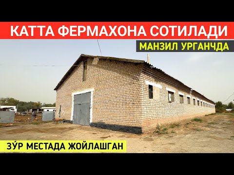 Видео: УРГАНЧДА КАТТА ФЕРМАХОНА СОТИЛАДИ !!! ХОРАЗМ БОЗОР 