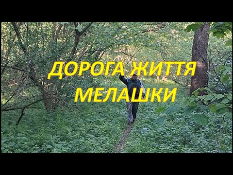 Видео: Дорога життя Мелашки