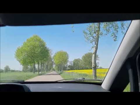 Видео: Как живут фермеры на Севере Германии! Сенокос!