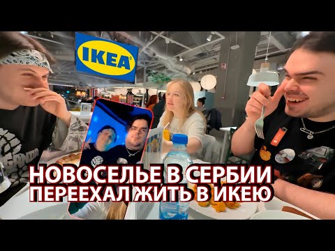 Видео: Kopsteep переехал в Сербию . Новоселью в белграде . ft Murzofix , Morphe ya