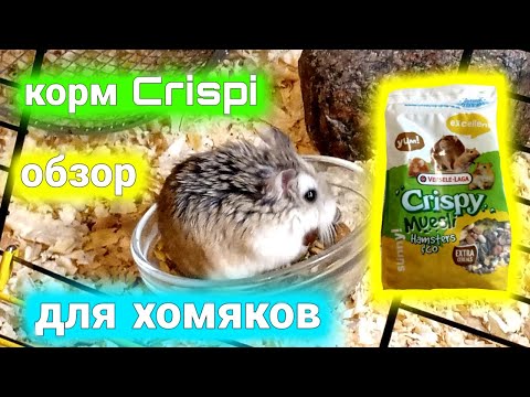 Видео: можно ли корм CRISPI хомякам🐹обзор на корм CRISPI для ХОМЯКАМ #хомуся