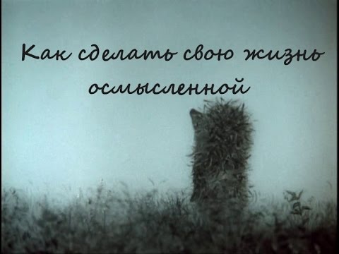 Видео: Осмысленная жизнь в бессмысленном мире. Психология смысла жизнедеятельности