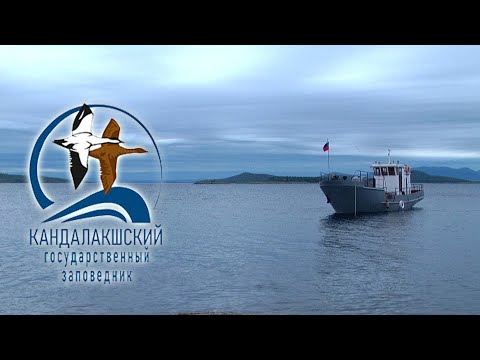 Видео: Кандалакшский морской природный заповедник. Официальная презентация. Лауреат фестиваля Арктика 2022.