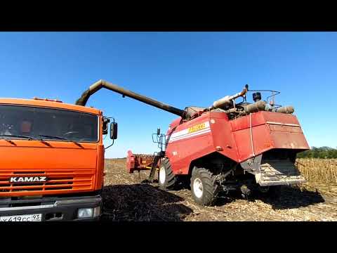 Видео: 2Д. уборки подсолнечника, заделываем палки дискатором на КамАЗе хтх 215 - сезон 2020 -