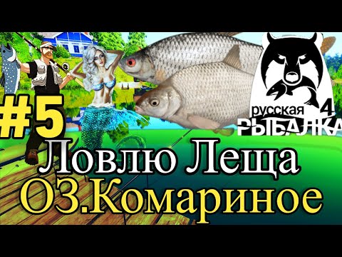 Видео: 🐟Хороший ЛЕЩ 🎣 На Поплавок🎣Комариное🐟