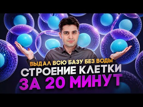 Видео: Строение клетки за 20 минут! Все что нужно знать! ВЫДАЛ всю базу