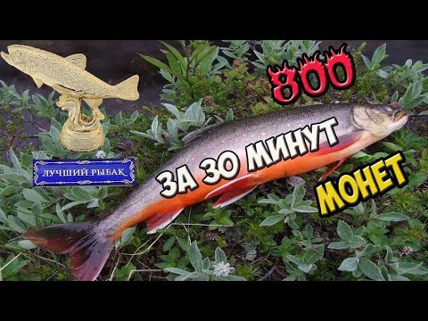 Видео: Русская рыбалка 4: 800 монет за 30 минут!!!