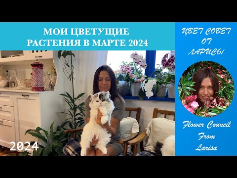 Видео: ЦВЕТУЩИЕ РАСТЕНИЯ В МАРТЕ 2024