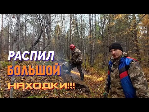 Видео: ЗАНХАЛИ ГЛУБОКО В ЛЕС!!! НЕПОДЪЁМНАЯ ДЕТАЛЬ ПИЛИМ!!!