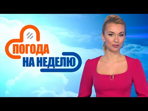 Видео: Ветер и мокрый снег! | Погода в Беларуси с 12 по 18 января | Плюс-минус