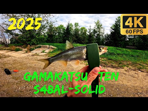 Видео: Супер клёв ельца на Gamakatsu LUXXE Yoihime Ten S48AL-solid