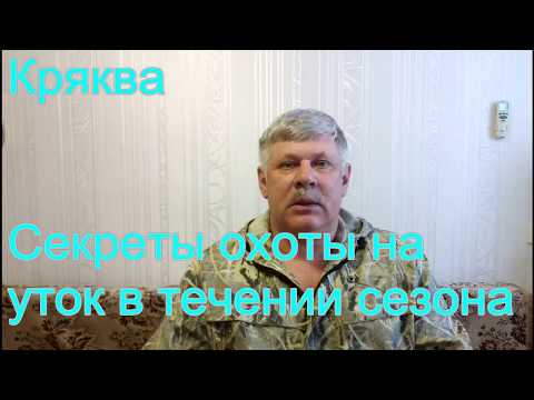 Видео: Секреты охоты на водоплавающую дичь. Как и где добыть утку в течении охотничьего сезона.