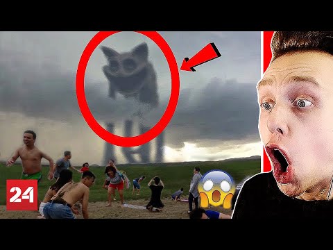 Видео: МЁРТВЫЙ КЭТНАП и ХАГИ ВАГИ В МОЁМ ДОМЕ 😨 МАМА ДЛИННЫЕ НОГИ В РЕАЛЬНОЙ ЖИЗНИ Poppy Playtime Chapter 3