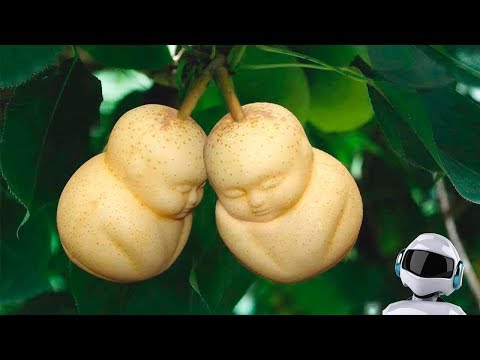 Видео: 10 САМЫХ ДОРОГИХ ФРУКТОВ В МИРЕ