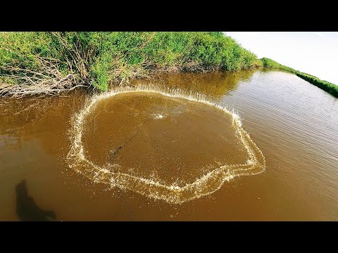 Видео: Ловля рыбы кастинговой сетью с лодки. Показываем людям с севера как добыть рыбу накидкой в Сибири.