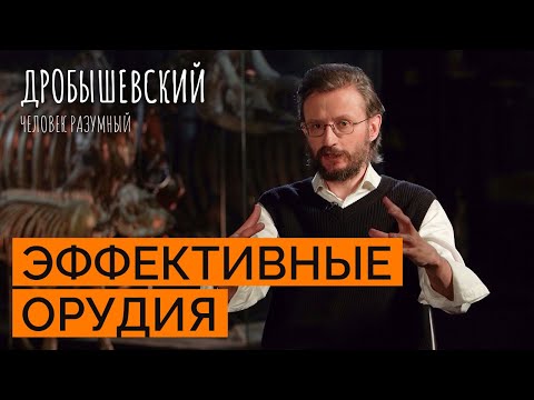 Видео: Как предки улучшали орудия труда // Дробышевский. Человек разумный