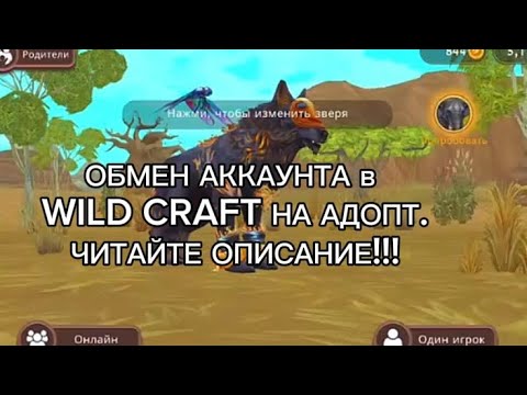 Видео: ОБМЕН АККАУНТА В WILD CRAFT на ADOPT ME. ‼️ЧИТАЙТЕ ОПИСАНИЕ‼️
