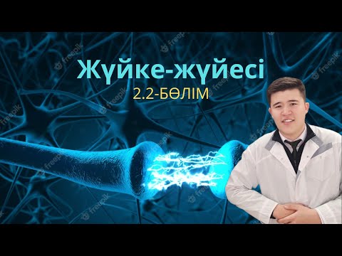 Видео: ОЖЖ. Нейрон түрлері