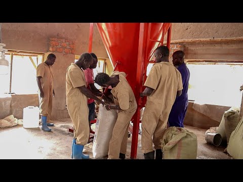 Видео: Как мы готовим корма для более чем 20 000 кур на ферме