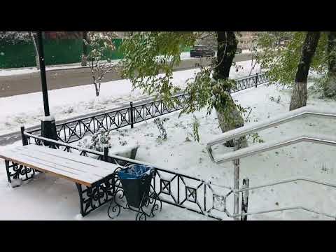 Видео: 24.10.2023 почти первый снег ❄️ в Тюмени