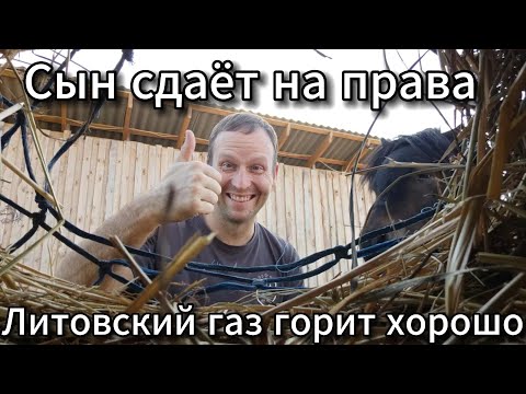 Видео: ❌⭕❌ Наш сын сдаёт на права #SERVEROK ///  🍓🍒