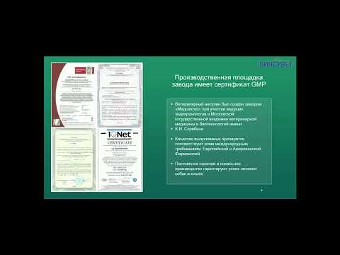 Видео: Винсувет  Вебинар