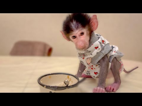 Видео: ТАК МИЛО! Посмотрите как  Степашка стал кушать, любо дорого посмотреть)))