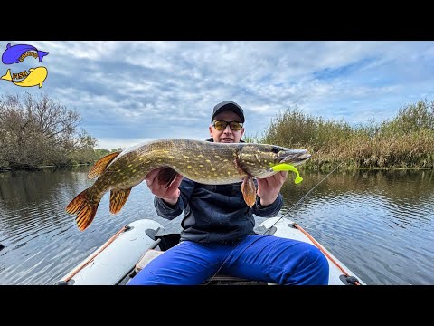 Видео: ТРОФЕЙНІ ЩУКИ ПРОКИНУЛИСЬ!! ЖОР ВЕЛИКОЇ ЩУКИ 2024