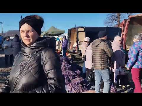 Видео: 🎉🇺🇦 ТОРГОВИЦЯ - РИНОК.м.Надвірна.Огляд цін на овочі фрукти та все інше.16 листопада.🎉🇺🇦