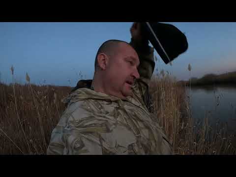 Видео: Налим есть - ловить надо уметь!