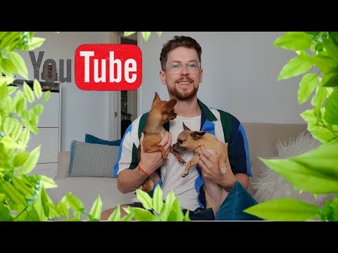 Видео: Мои хищные растения + новая сансевиерия + пересадка.