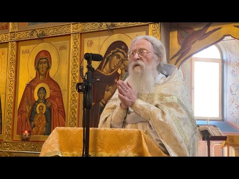 Видео: О неверии по греху и по немощи. Проповедь отца Геннадия в день памяти св. апостола Фомы. 19.10.2025