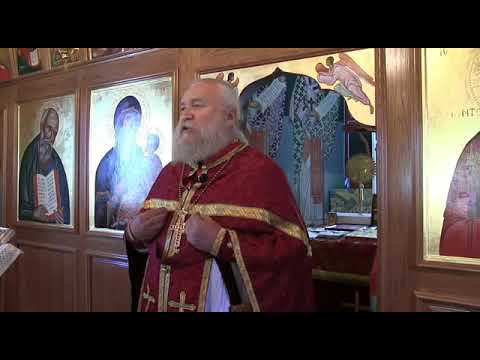 Видео: Запретная проповедь. Андрей Алёшин: "Камень вместо хлеба"