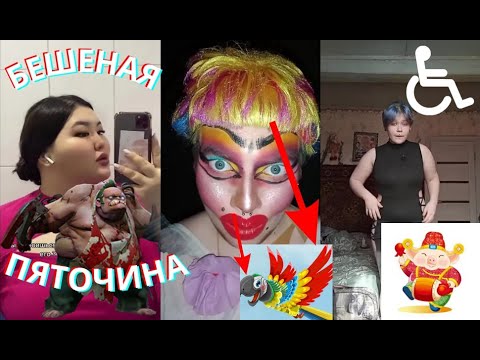 Видео: БРЕДОВЫЙ ТИК ТОК - БЕШЕНАЯ ПЯТОЧИНА #023